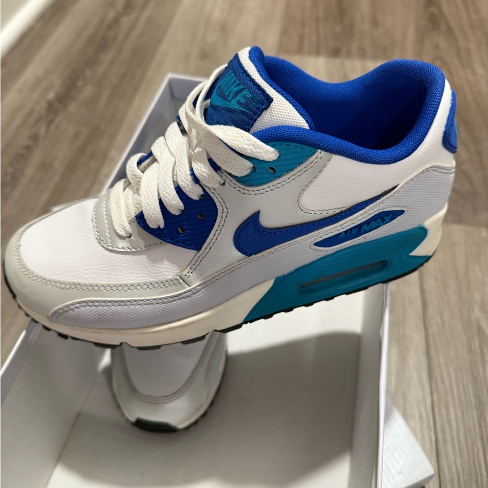 Nike White and Blue Sneakers